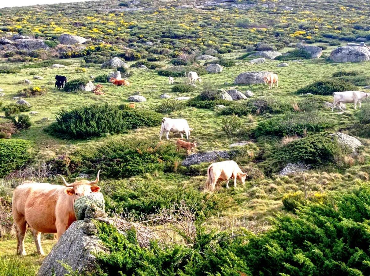 Navaquesera Mirador De Gredos * Avila